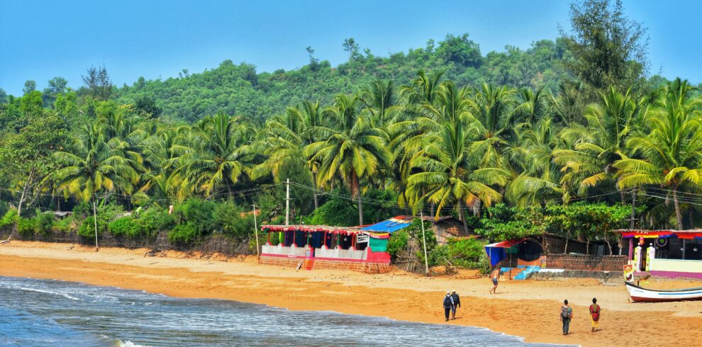 vivek-gFjcUF_2Pr4-unsplash