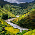 Rice fields on terraced of Mu Cang Chai District, YenBai province, Northwest Vietnam